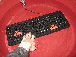 双飞燕G300网吧键盘 卓越产品助力网吧连锁经营管理服务